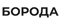 БОРОДА