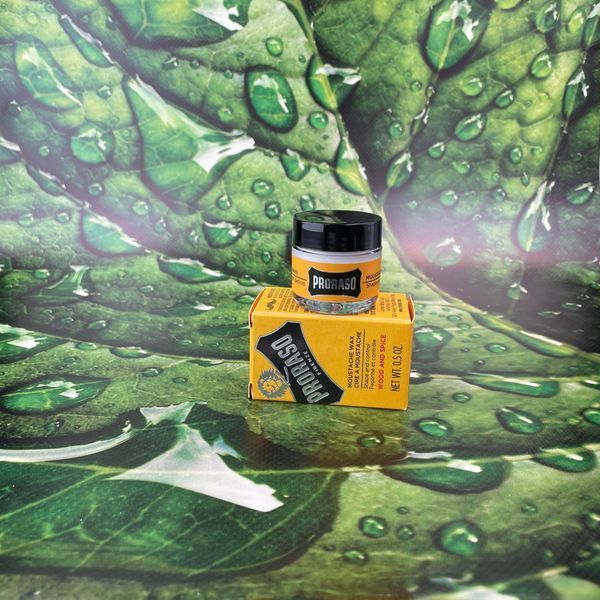 Воск для усов Proraso Wood & Spice 15 мл К31 фото