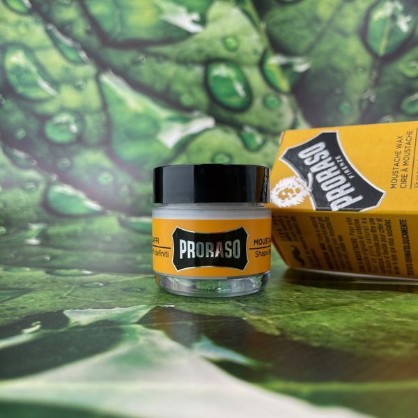 Воск для усов Proraso Wood & Spice 15 мл К31 фото